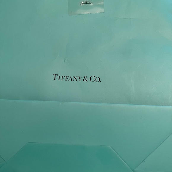 Tiffany & Co. Pouch With Box & Gift Bag - Picture 4 of 4